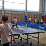 pokrajinska faza trzaskih nizjih sol