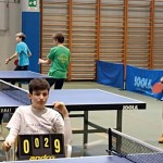 pokrajinska faza trzaskih nizjih sol