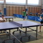 pokrajinska faza trzaskih nizjih sol