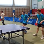 pokrajinska faza trzaskih nizjih sol