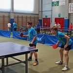 pokrajinska faza trzaskih nizjih sol