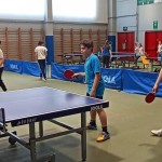 pokrajinska faza trzaskih nizjih sol