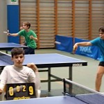 pokrajinska faza trzaskih nizjih sol