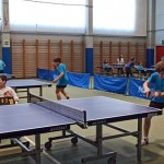 pokrajinska faza trzaskih nizjih sol