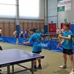 pokrajinska faza trzaskih nizjih sol