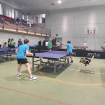 pokrajinska faza trzaskih nizjih sol