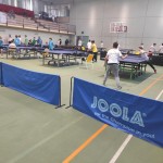 pokrajinska faza trzaskih nizjih sol