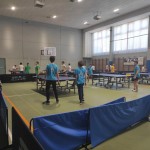 pokrajinska faza trzaskih nizjih sol