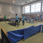 pokrajinska faza trzaskih nizjih sol