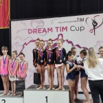 Dream TIM Cup