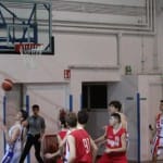 Košarka U 19 : Jadran - Falconstar