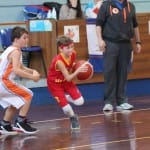Košarka U 12 : Polet Kontovel - Servolana