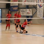 IMG_0420