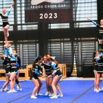 V Logatcu se je Cheerdance Millenium solidno odrezal