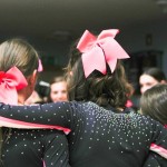 V Logatcu se je Cheerdance Millenium solidno odrezal
