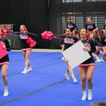 V Logatcu se je Cheerdance Millenium solidno odrezal