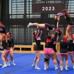 V Logatcu se je Cheerdance Millenium solidno odrezal
