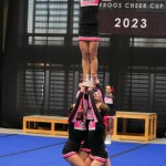 V Logatcu se je Cheerdance Millenium solidno odrezal