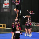 V Logatcu se je Cheerdance Millenium solidno odrezal