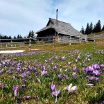 SK Devin in AŠD Mladina: skupni izlet na Veliko Planino