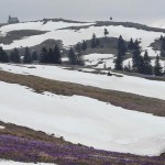 SK Devin in AŠD Mladina skupni izlet