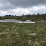 SK Devin in AŠD Mladina skupni izlet