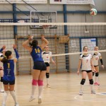 Odbojka U 16 : Zalet D.Barich - Soča