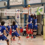 Odbojka C liga : Sloga Tabor - Triestina Volley