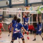 Odbojka C liga : Sloga Tabor - Triestina Volley
