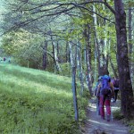 AŠD Mladina: pohod na Nanos povsem uspel