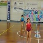Olympia Gym & Dance Show