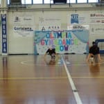 Olympia Gym & Dance Show