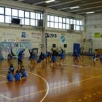 Olympia Gym & Dance Show