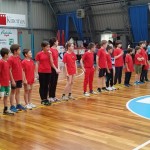 ZSŠDI, igra med dvema ognjema za osnovnošolce: Katinara najbol