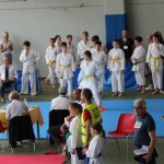 Karate pokal Zgonik
