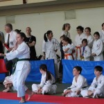 Karate pokal Zgonik