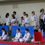Karate pokal Zgonik