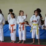 Karate pokal Zgonik