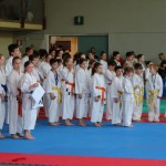 Karate pokal Zgonik