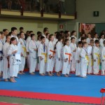 Karate pokal Zgonik