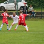 Nogomet U 9  turnir Zarje