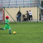 Nogomet U 9  turnir Zarje