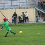 Nogomet U 9  turnir Zarje