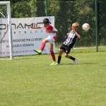 Nogomet : turnir Zarje U 11