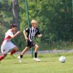 Nogomet : turnir Zarje U 11
