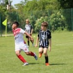 Nogomet : turnir Zarje U 11