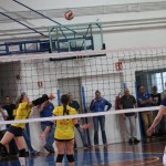 Odbojka : Kontovel - Farravolo