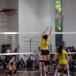 Odbojka : Kontovel - Farravolo