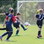 Nogomet : turnir Zarje U 11
