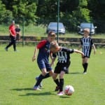 Nogomet : turnir Zarje U 11